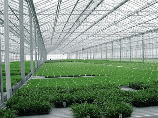 具备哪些温室育苗装备，可加速蔬菜工业现代化历程？